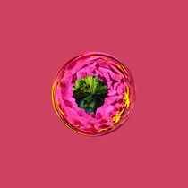 Pink flower in crystal globe by Robert Gipson