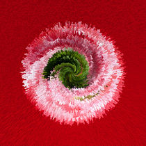 Flower globe abstract von Robert Gipson