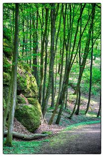 Wald by mario-s