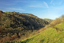 Across The Valley To Dovedale Wood von Rod Johnson