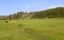 The Grasslands Of Custer State Park von John Bailey