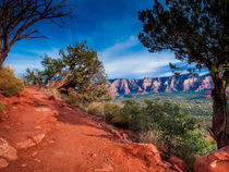 Trail on Arizona Red Rocks von Jim DeLillo