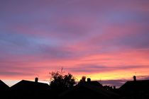 fire in the sky by mark severn