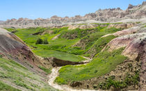 Spring In The Badlands by John Bailey