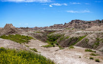 Flowers In The Badlands by John Bailey