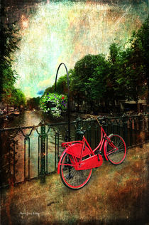 The Red Bicycle by Randi Grace Nilsberg