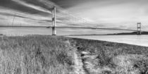  Severn Bridge Panorama von David Tinsley