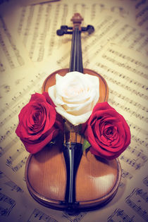 old violin with musical notes and roses von Igor Korionov