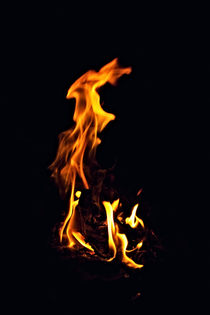 Bright fire burning in the dark von Igor Korionov
