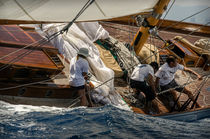 Puig Vela Classica  by ALFRED FARRE BATLLE