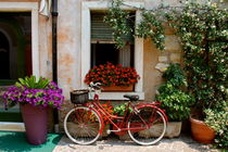 Cycle Italy von Christina McGrath