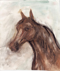 horse by Paul Mezei