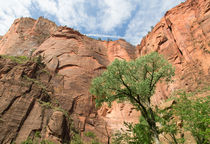 Zion Canyon Walls von John Bailey