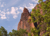 A Rocky Point At Zion Canyon von John Bailey