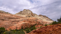 Colorful Mesas At Zion National Park by John Bailey