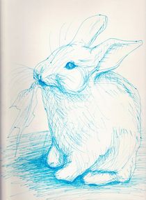 Rabbit by Paul Mezei