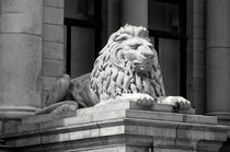 Vancouver Art Gallery Lion Sculpture by John Mitchell