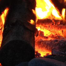 burning log by istarzewska
