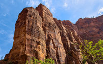 Behemoth Canyon Walls von John Bailey