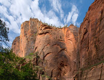 Meet At The Corner Of Zion Canyon by John Bailey