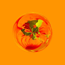 Orange in the globe by Robert Gipson