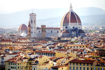 Florence panoramic view von Tania Lerro