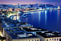 Naples panoramic view. Italy by Tania Lerro