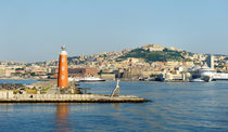 Port of Naples. Italy by Tania Lerro