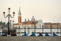 Venice view from Piazza San Marco by Tania Lerro