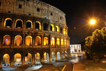 Colosseum, Rome von Tania Lerro