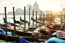 venetian gondolas, venice by Tania Lerro