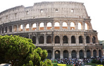 Colosseum, Rome by Tania Lerro