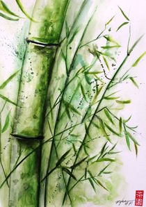 bamboo by Rodrigo Chaem