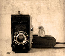 'Old film camera with lens macro shot ' von Peter-André Sobota