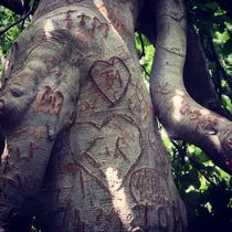 Tattooed tree by Ruth Baker