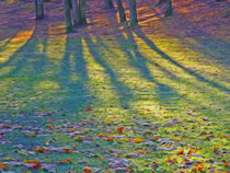 HamburgDigitals - Herbstlicht - © adMeyer von Christian Meyer-Pedersen