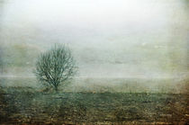 Lone Tree von Randi Grace Nilsberg
