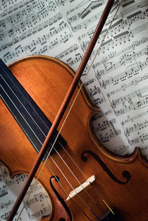 Violine von Oliver Helbig