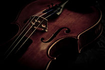 Geige von Oliver Helbig