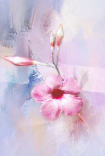 Painted Flowers von Judy Hall-Folde