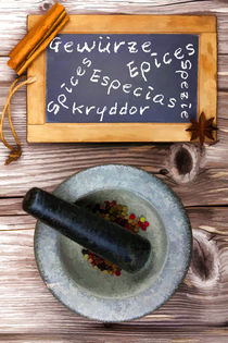 Gewürze - Spices - Epices - Especias von Thomas Klee