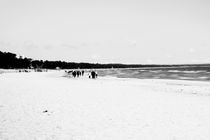 Am Strand von Bastian  Kienitz