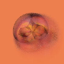 Peach blur by Robert Gipson