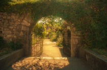 Gate in a Fairy Tale by cinema4design