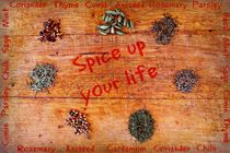 Spice up Your Life by Clare Bevan