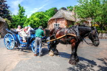 Horse and Cart von Stephen Walton
