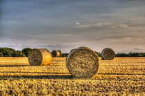 Farm Bales by David Pyatt