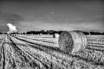 Summers evening farm von David Pyatt