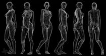 "X-Ray Female" (Black Background) by Marco Romero