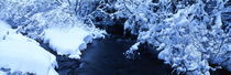 Brook in winter by Intensivelight Panorama-Edition